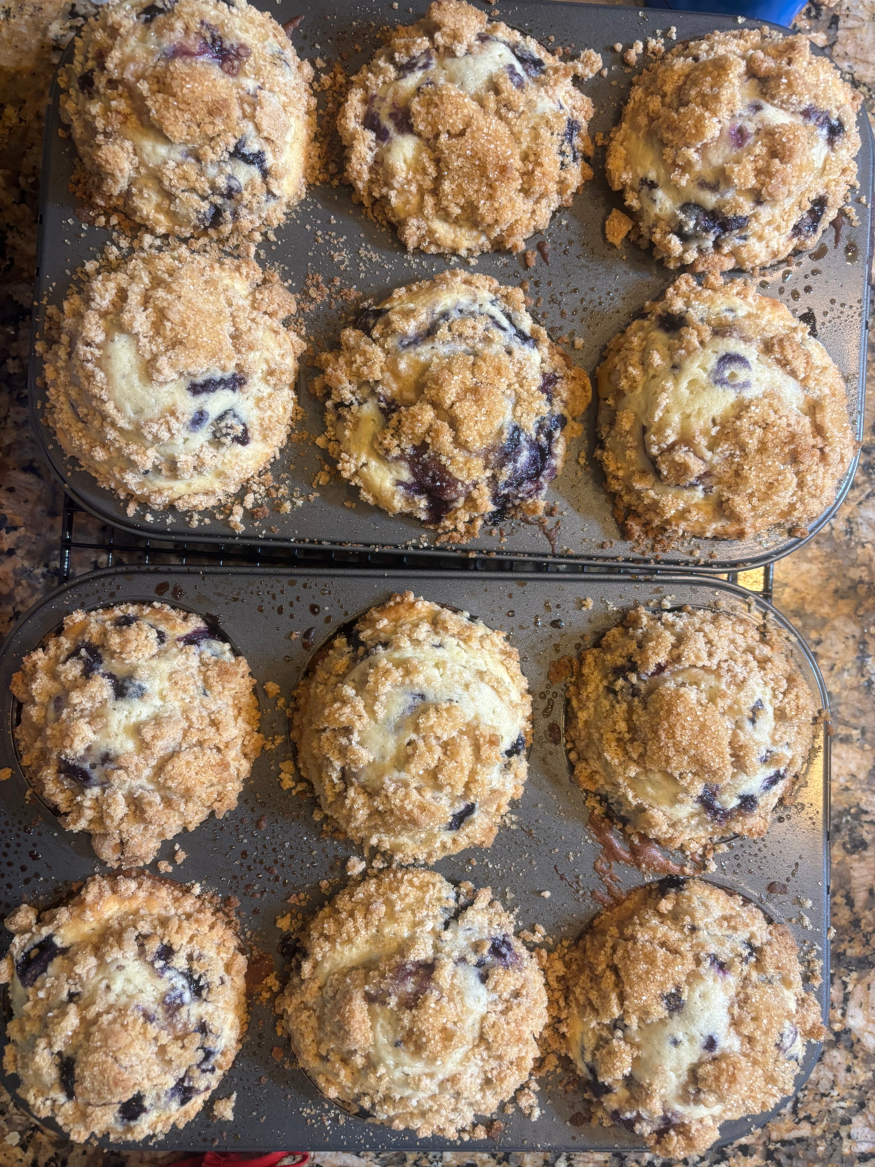 Blueberry Muffins